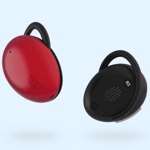 ambassador-interpretor