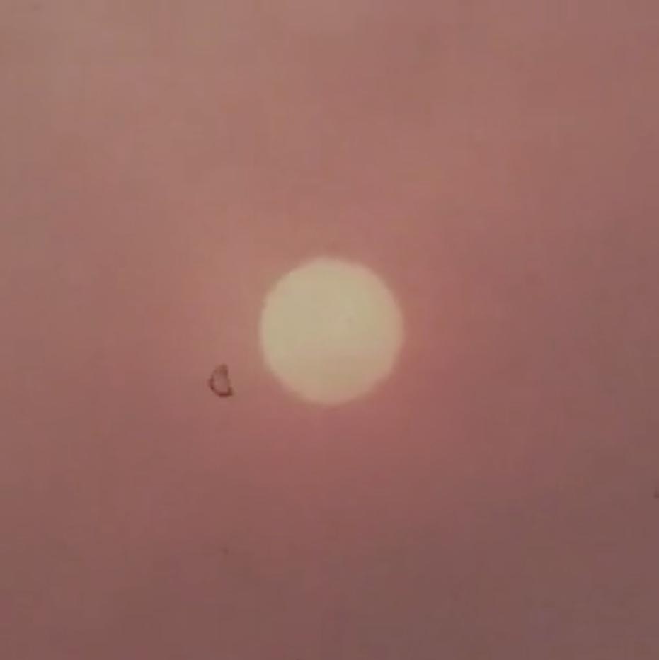 perfume-genius-survive