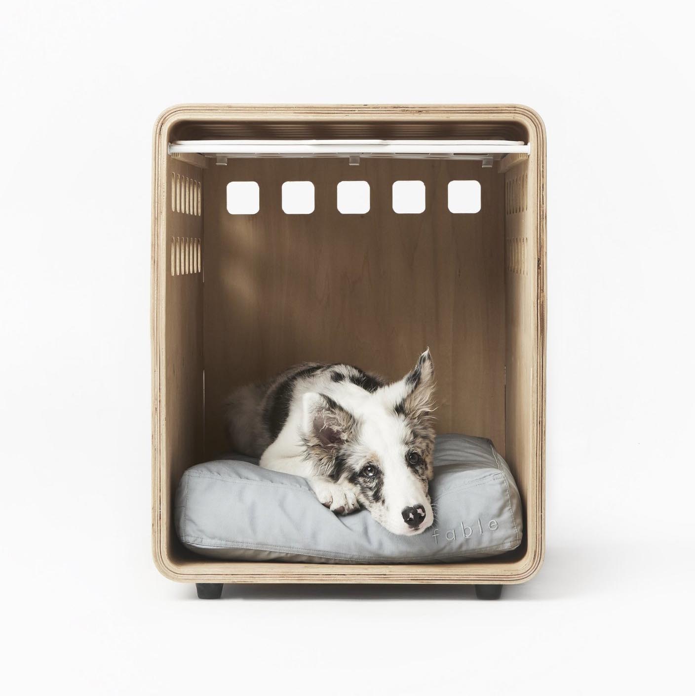 https://coolhunting.com/wp-content/uploads/2021/09/medium-dog-crate-fable.jpg