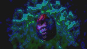 lajune-mcmillianself-portrait-8