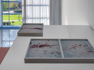 takashi-homma-trails-paolo-ferrarini