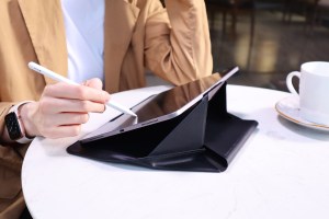 ipadholding-2