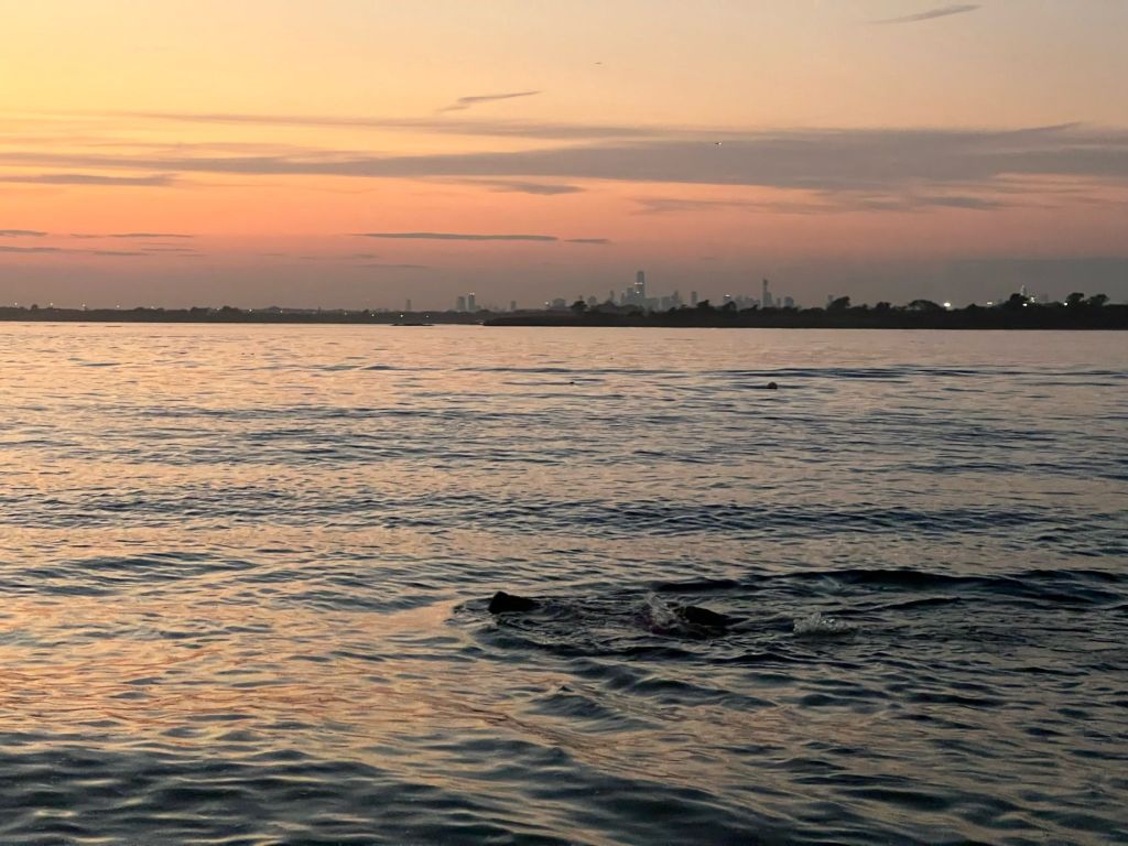 skyline-beach-from-float
