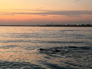 skyline-beach-from-float