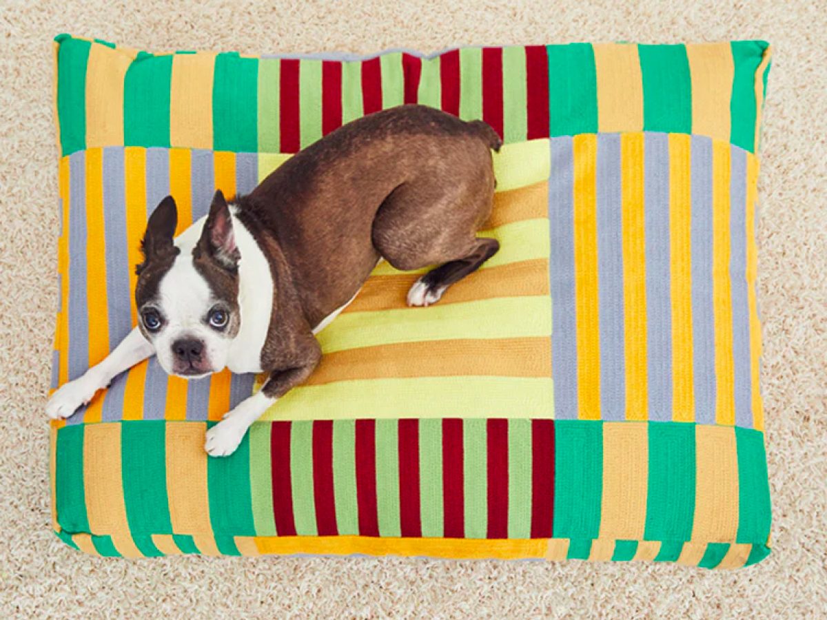 Stripe Dog Bed - COOL HUNTING®