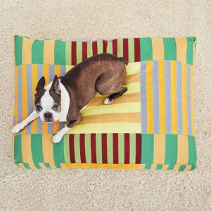 strip-dog-bed