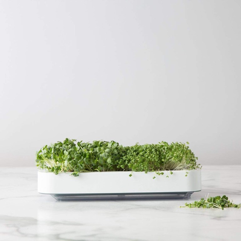 microgreen-grower-kit