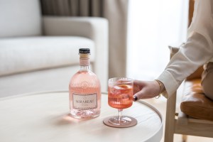 mirabeau-hotel-gin-31