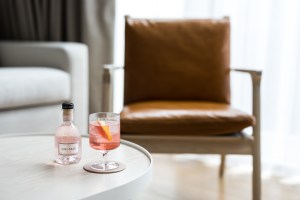 mirabeau-hotel-gin-6