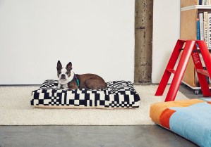 dusen-dusen-hero-pets-image