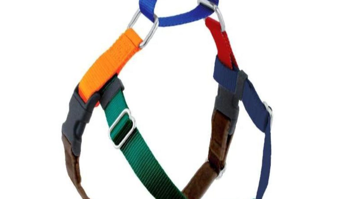 Jelly Bean No-Pull Harness in Spice COOL HUNTING®
