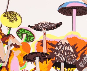 plant-medicine-hero-fort-makers