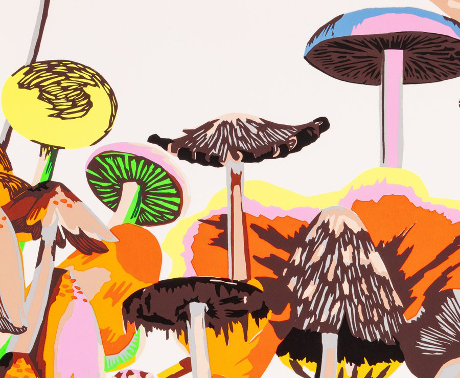 plant-medicine-hero-fort-makers