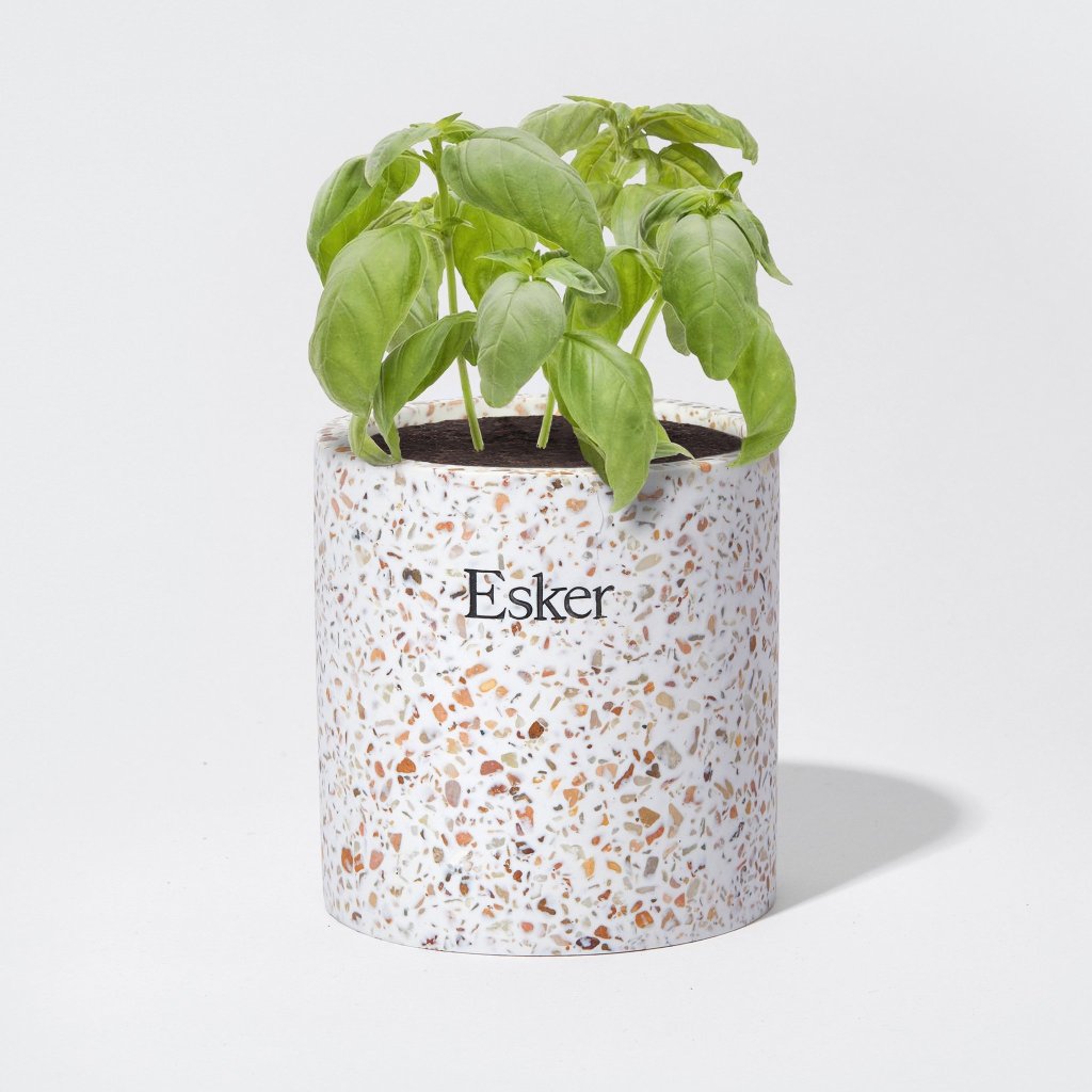 plantable-candle-esker