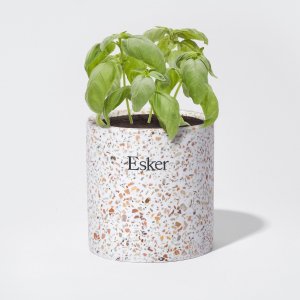 plantable-candle-esker