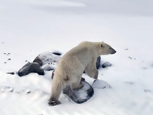 todd-plummer-manitoba-04