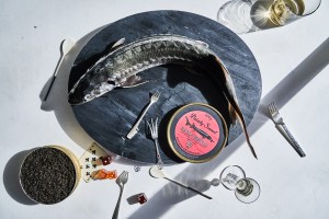 pointy-snout-decennial-edition-with-whole-fish