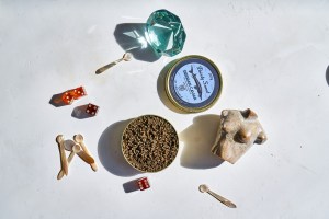 pointy-snout-siberian-003