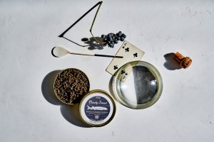 pointy-snout-white-sturgeon-001