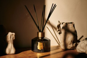 trudon-the-diffuser-credit_-joss-mckinley-1