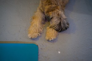 leica-m11-superhappy-ghost-co-fullres-12