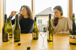 weinregion-rheingau-mosel-fur-kolonne-null-studio-null