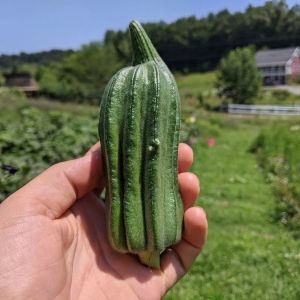 experimental-farm-network-05