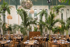 gitano-mexico-city-horitontal