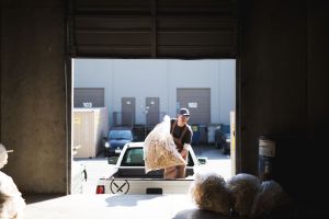 1-chopvalue-collection