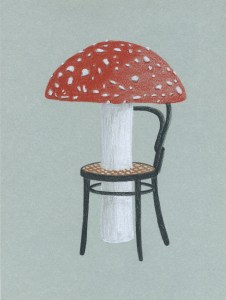 id_est_mushroom
