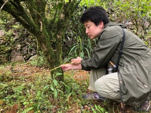 shunan-teng-with-tea-tree