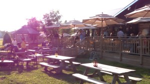 the-chicken-run-outside