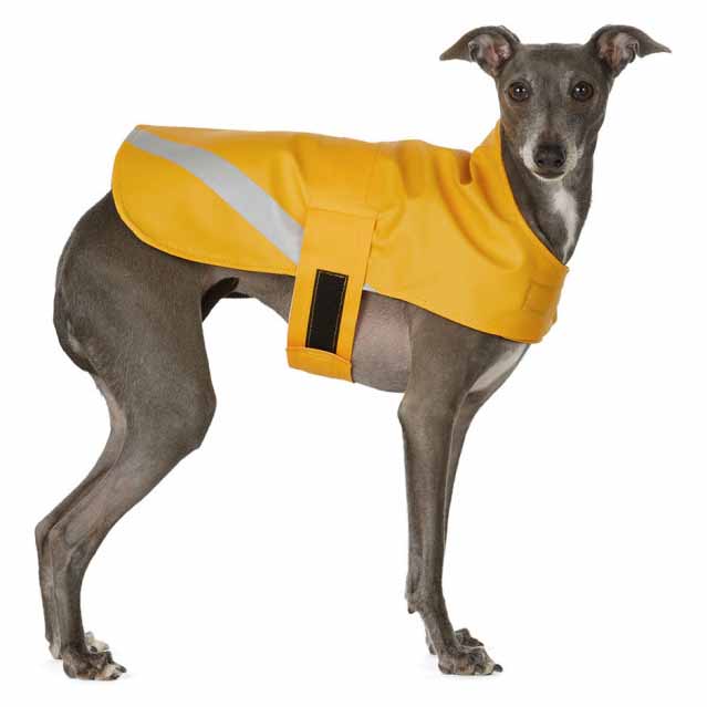 stutterheim-ssense-exclusive-yellow-lightweight-dog-raincoat