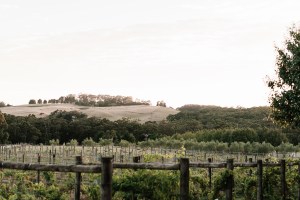 dairy-flat-farm_high-res-18