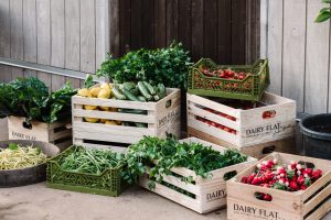 dairy-flat-farm_high-res-285