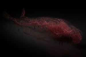 evolver_landscape-body-copy