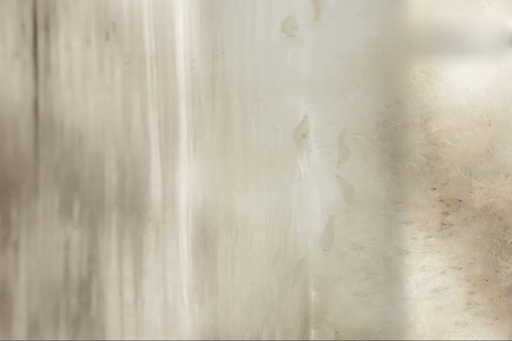 rodrigo-y-gabriela-fishes