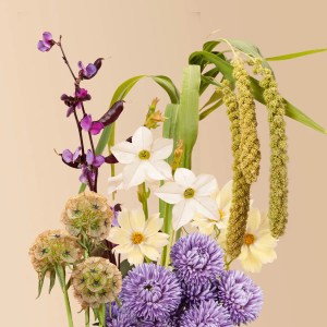 atmospheric-seed-bundle