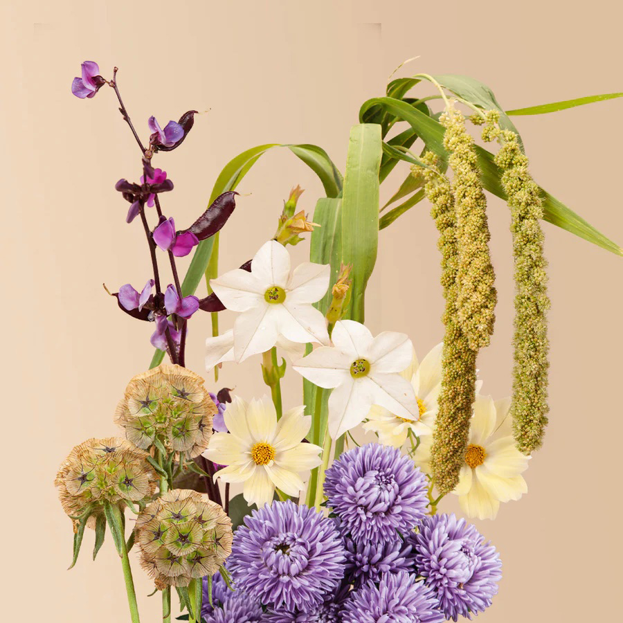 atmospheric-seed-bundle