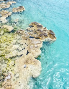 stramolites-bacalar