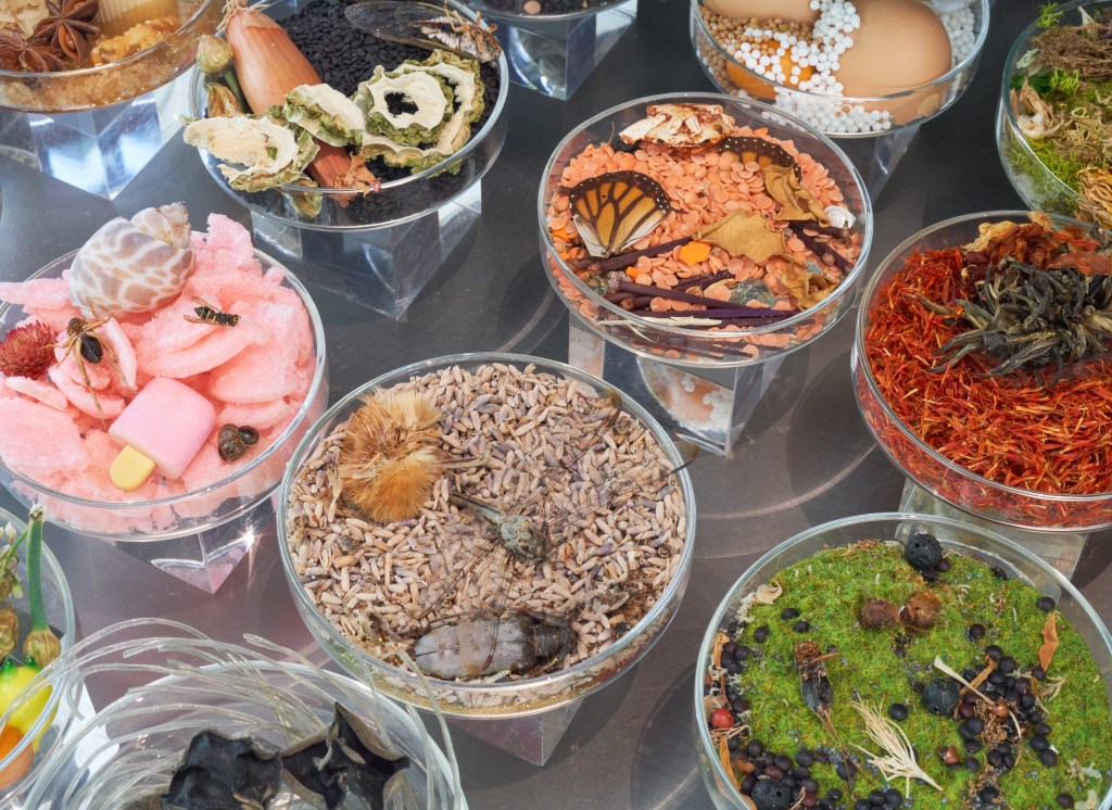 suzanne-anker-twilight-hero-image