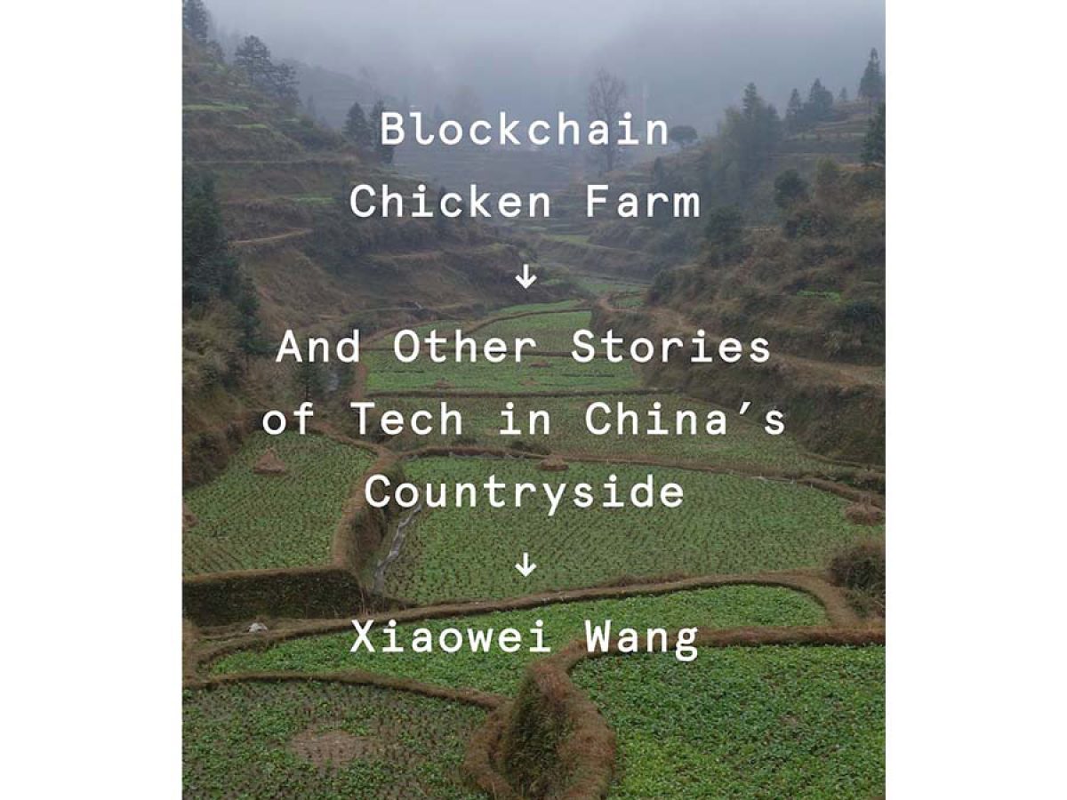 Blockchain Chicken Farm - COOL HUNTING®