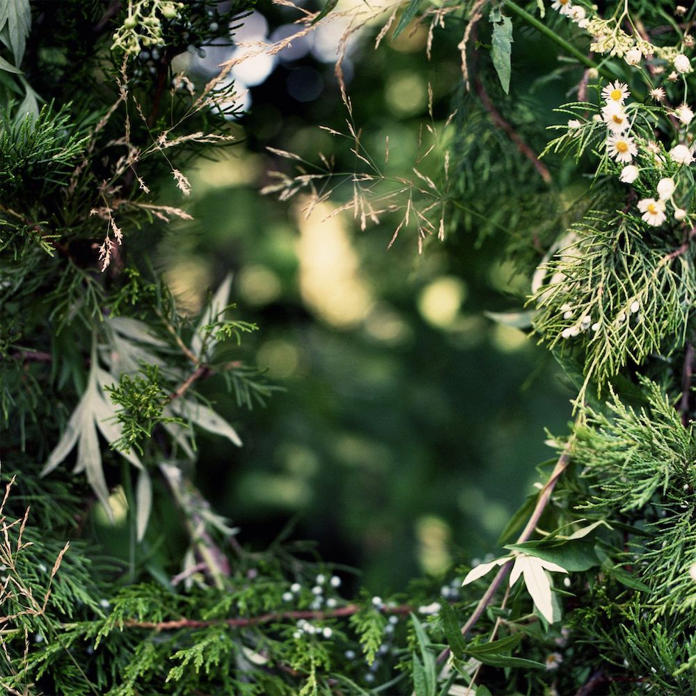 kolezanka-canals-of-the-city-1666016043