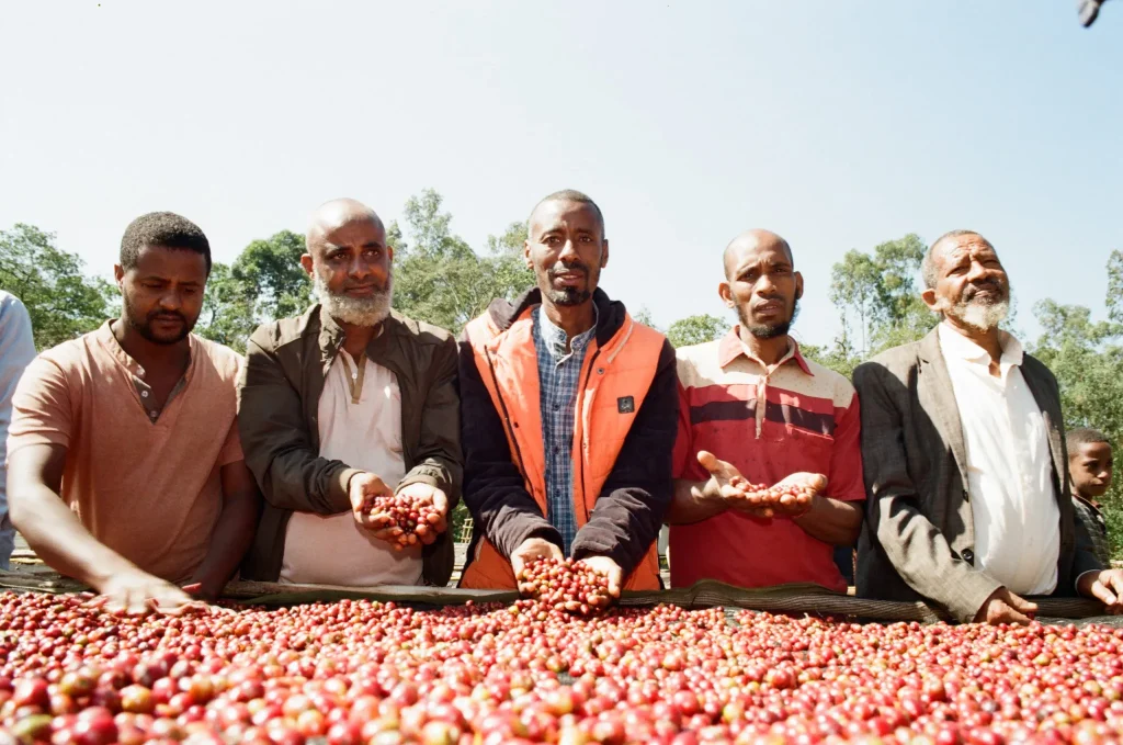 blood-of-bull-muhammad-mensur-aba-hakim-_-muhammad-kasim-scaled-jpg