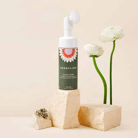 dandylion-cleasner
