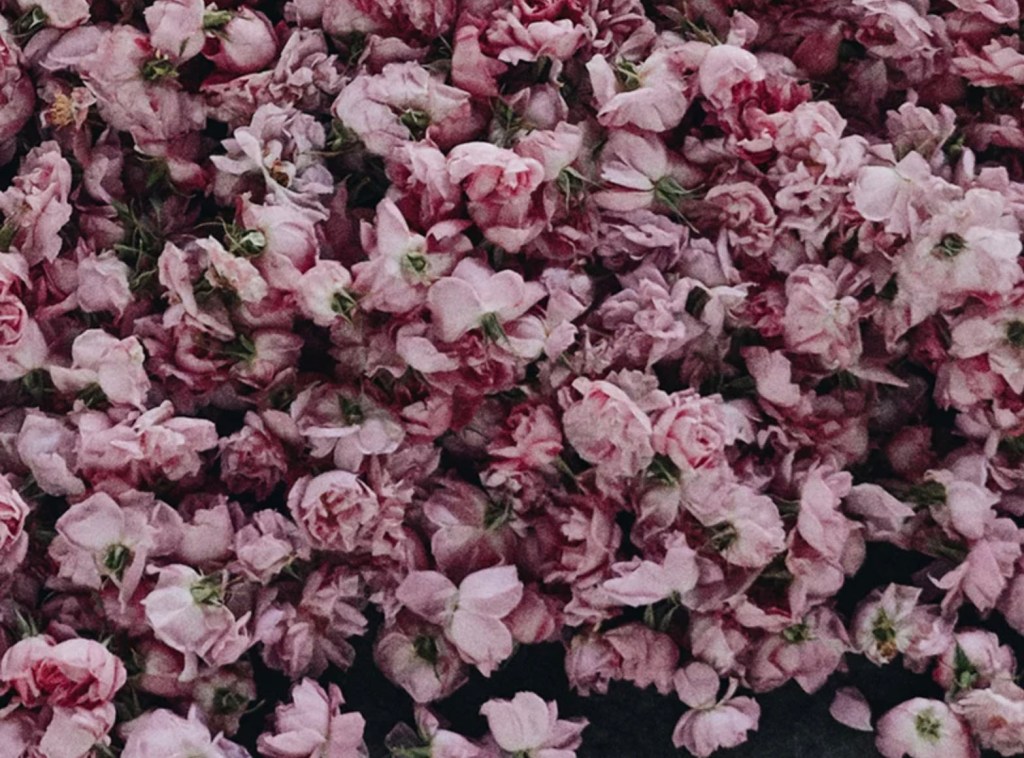 valentines-day-2023-le-labo-hero