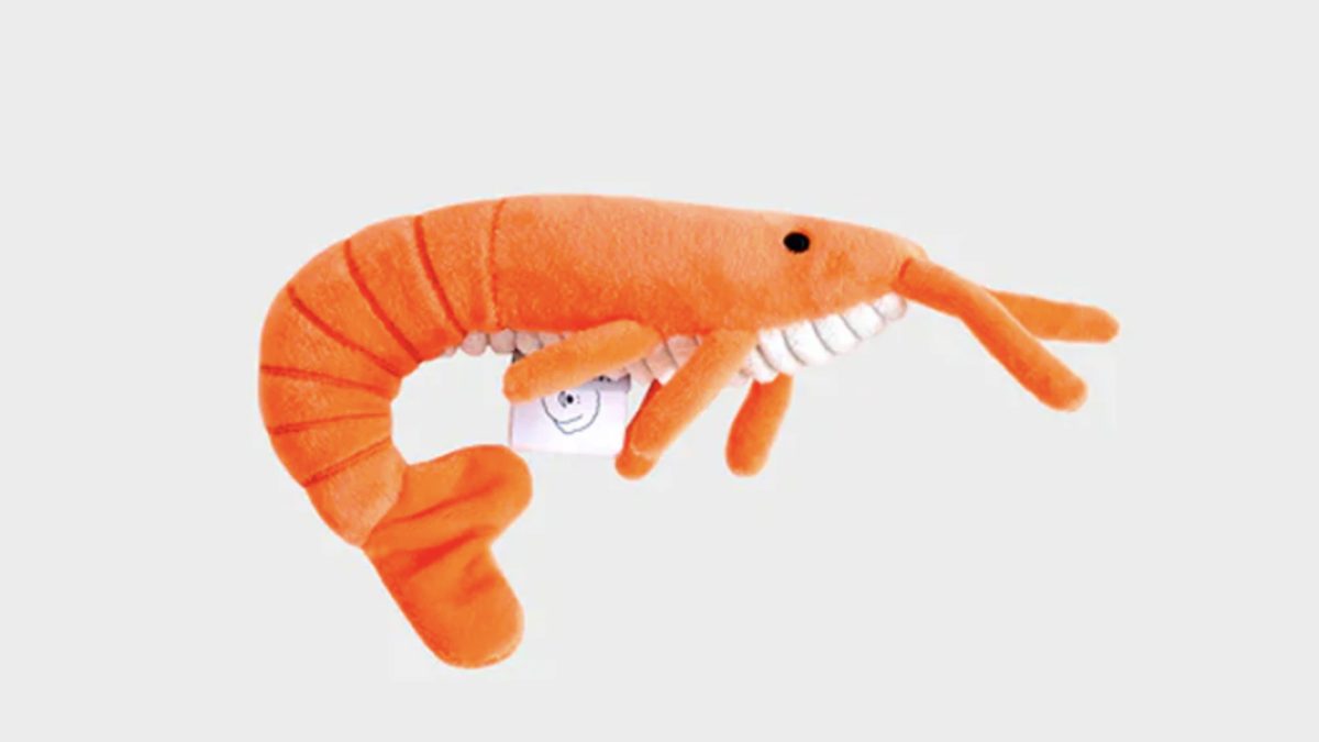 shrimpさん専用です！ shrimp-pet-toy-1200x675.jpg