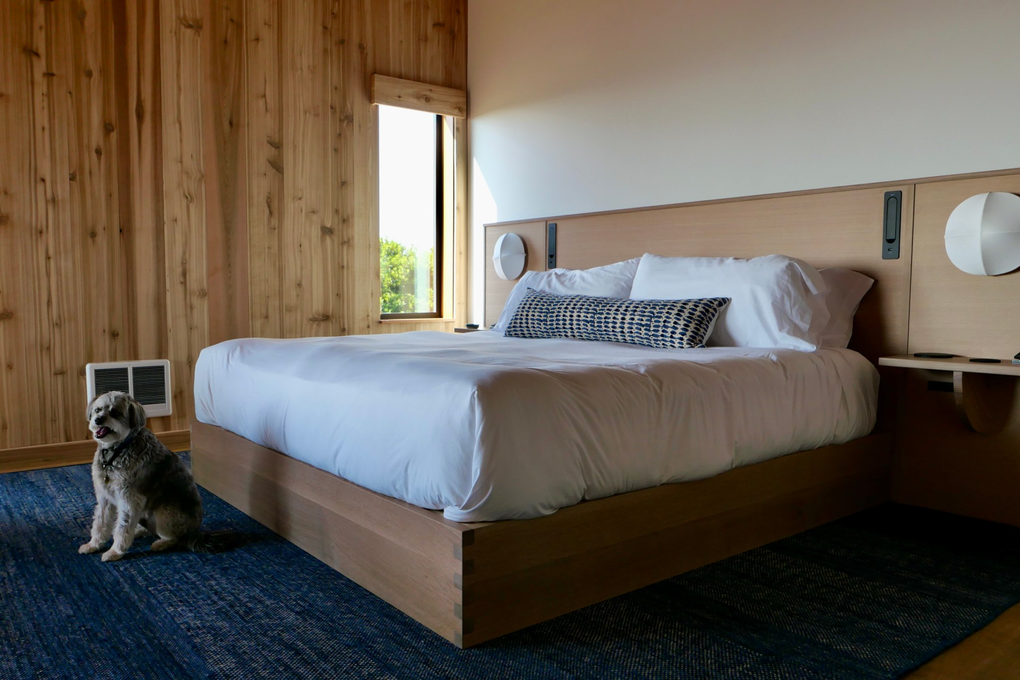Scenic Cliffside Adventures at The Sea Ranch Lodge - COOL HUNTING®