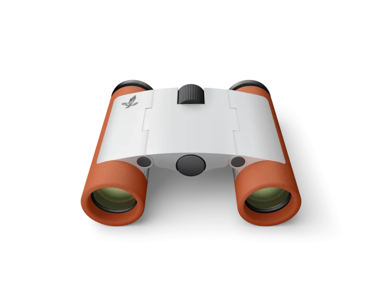 k21_cl_curio_01_rgb_orange_small-png