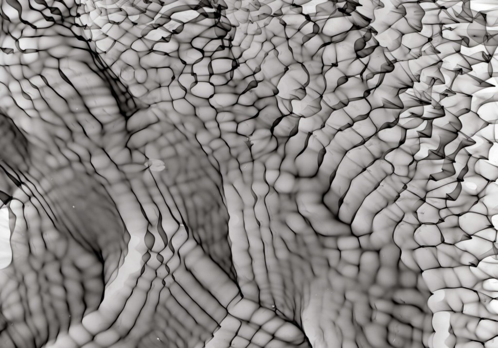 30hz-60hz_satin_8x10_3-crop